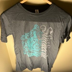 Harry Potter Men’s Slytherin Crest Tee Color Gray Size Small